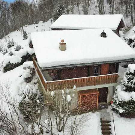 Mirador Alpine Horizon -crans Montana- Swiss Alps شاليه كرانز مونتانا