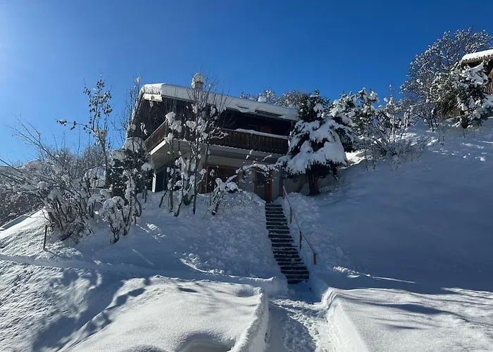Mirador Alpine Horizon -crans Montana- Swiss Alps 木屋